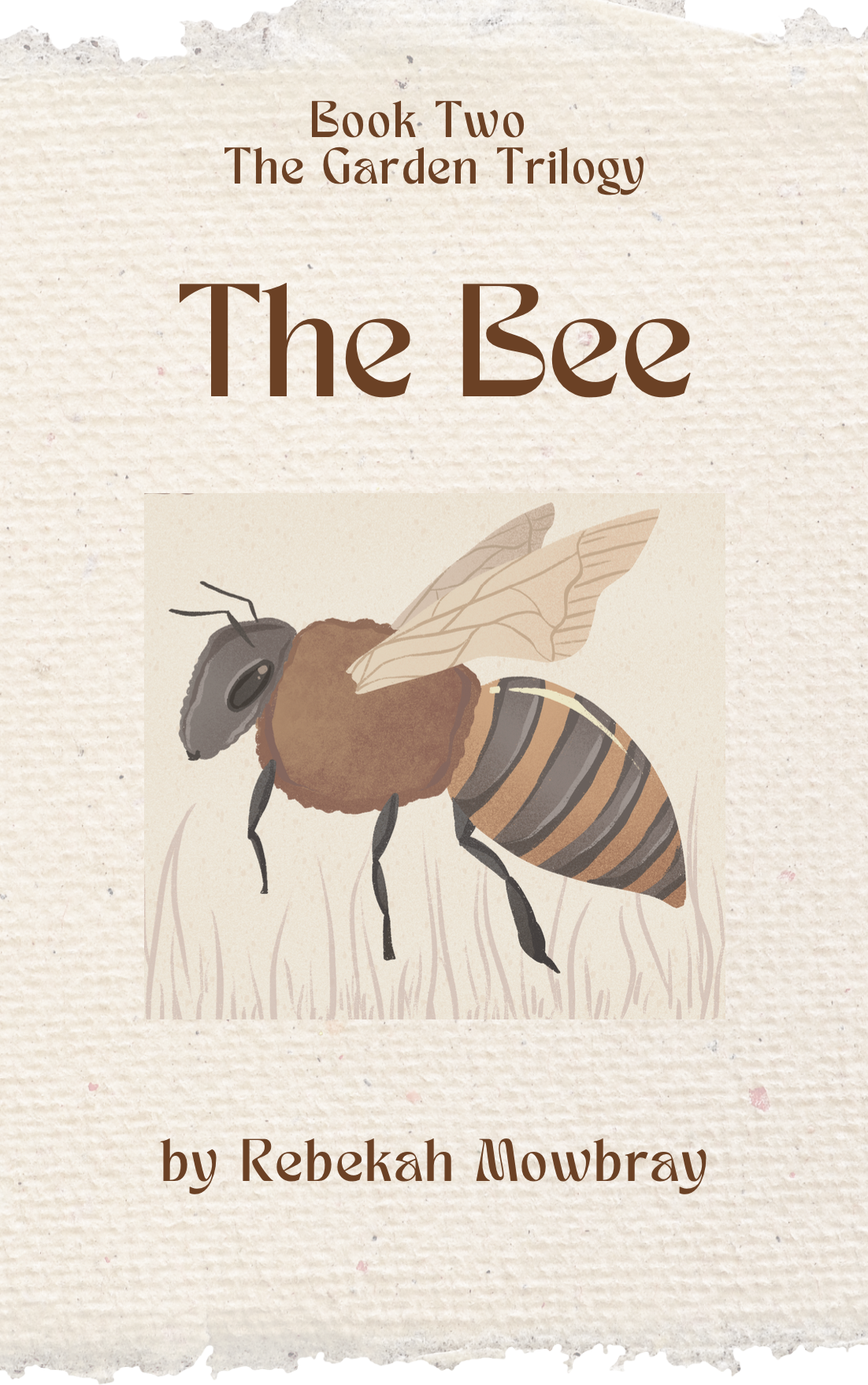 Screenshot 2024-02-04 at 12.08.23 pm.png