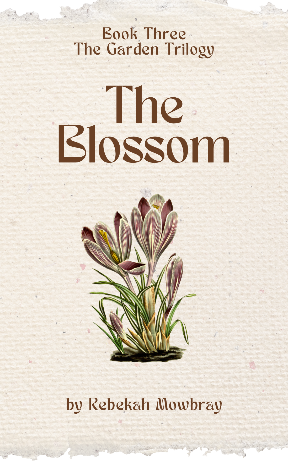 Screenshot 2024-02-04 at 12.07.53 pm.png