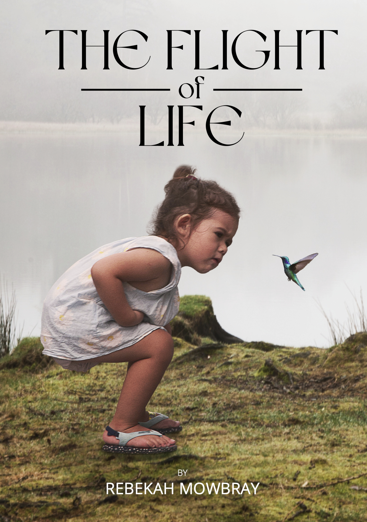 Screenshot 2024-02-04 at 1.02.44 am.png