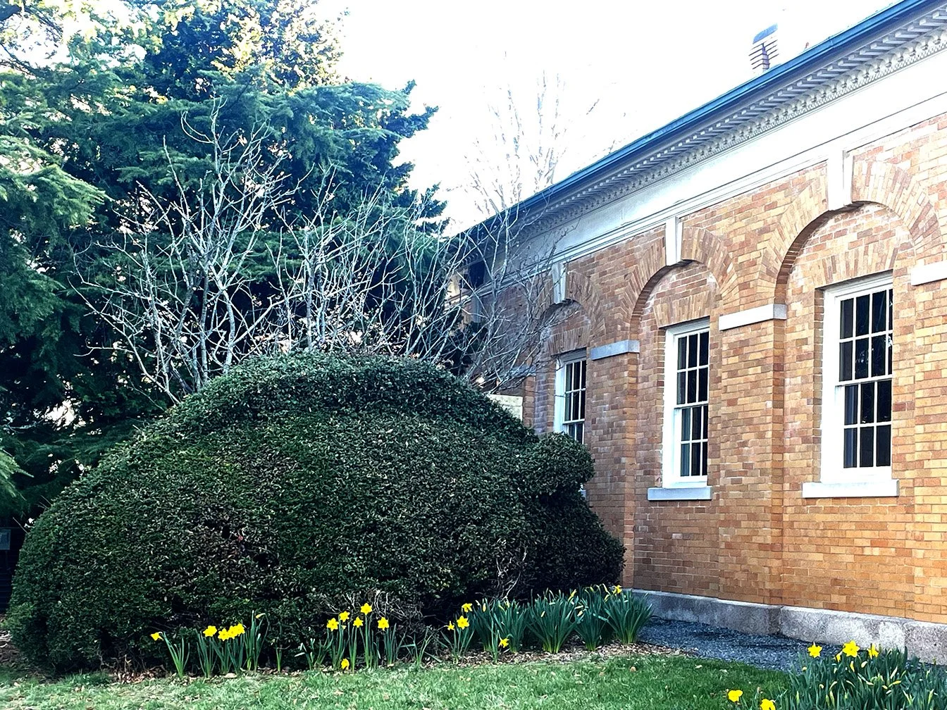 BBF 2026 MrsDalloway-RS1.jpg