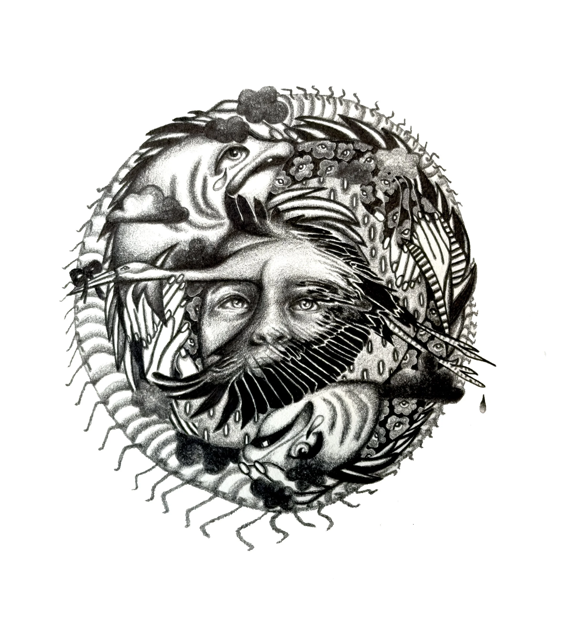 Riding a Crane Into the West 