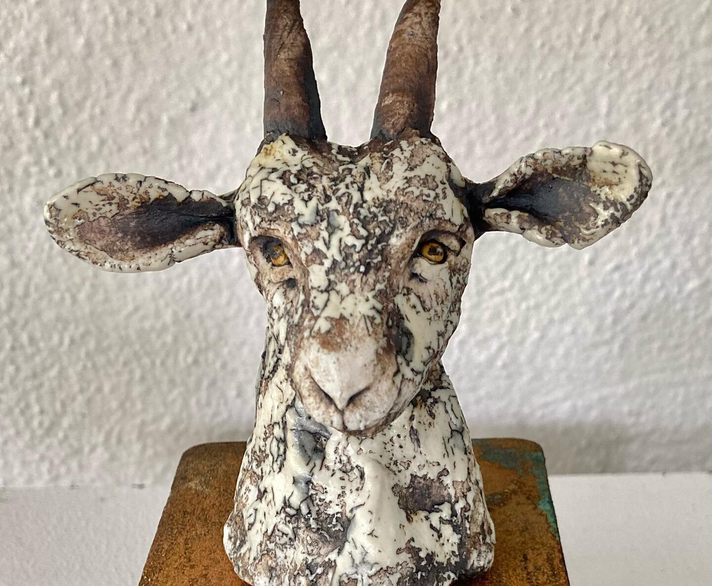 You can get quite attached to these animals as they appear before you in this wonderful porcelain clay! But I can&rsquo;t make more if I keep them all 😁so I&rsquo;ve just delivered my gentle goat to Wunderkammer in Melbourne, the most fascinating sh