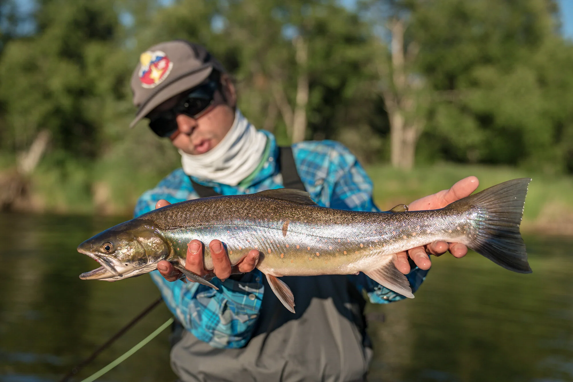 Fishing Bushwhack Alaska Guiding And Outfitting