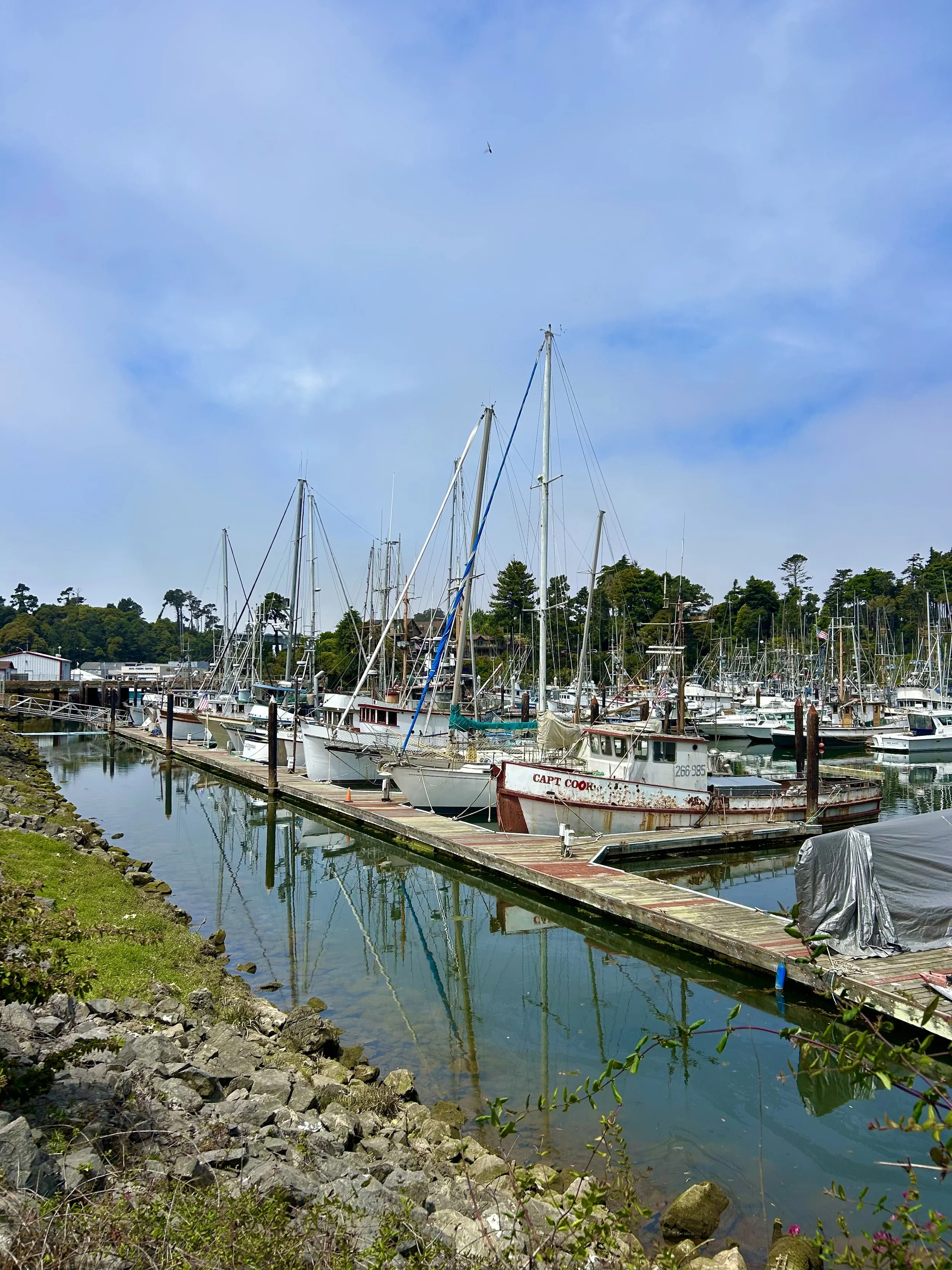 Fort Bragg