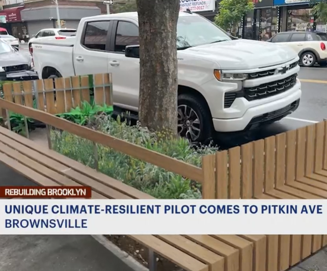 Non-profit rolls out unique climate-resilient pilot in Brownsville