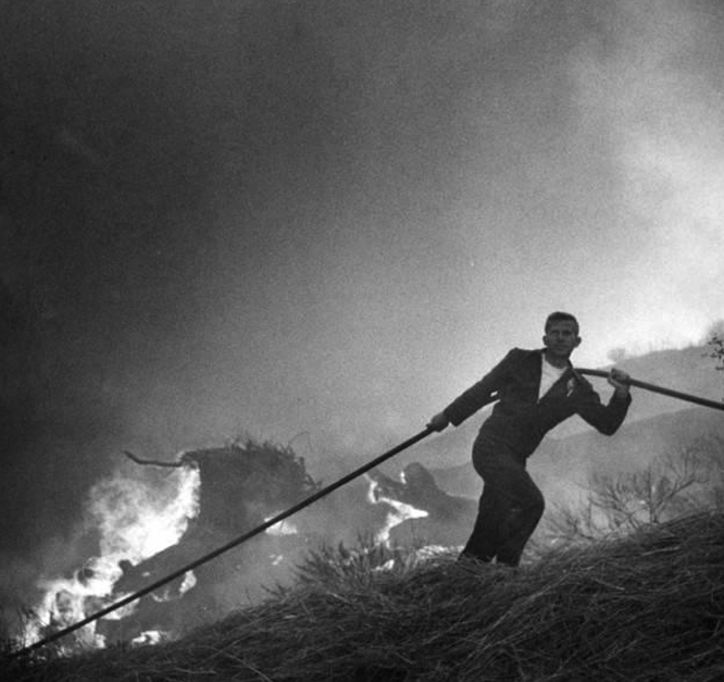 Screenshot 2025-12-22 at 4.53.47 PM.png