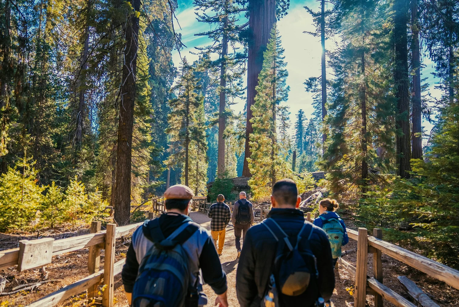 People walking through a California forest