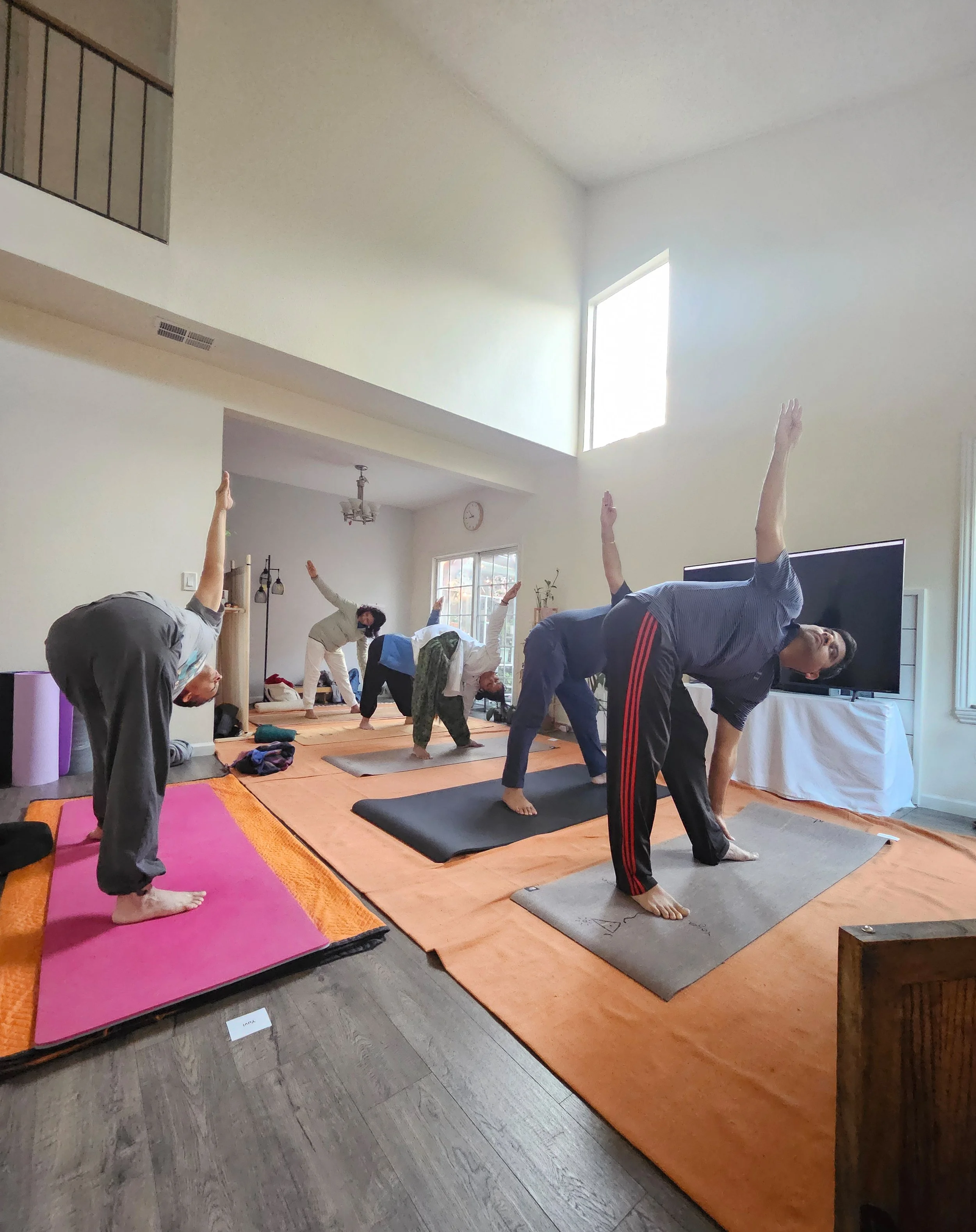 All Hatha Practices Guiding