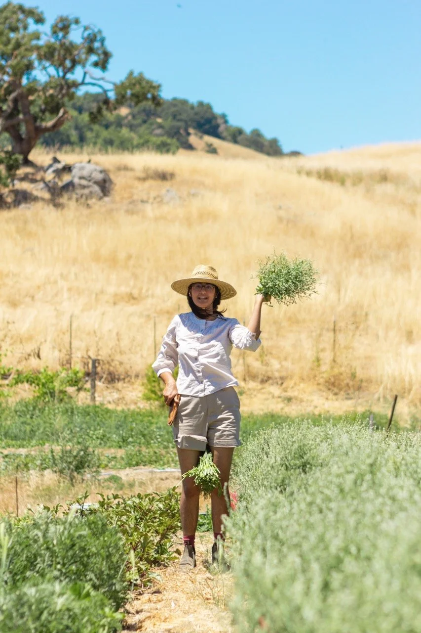 Farm n Sama 023* copy Large.jpeg