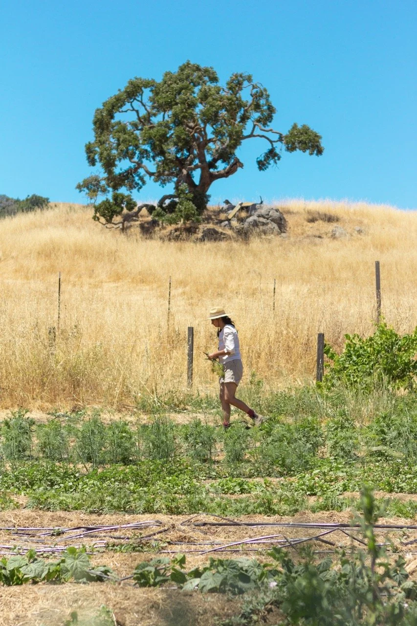 Farm n Sama 047* copy Large.jpeg