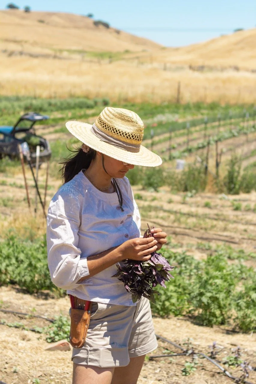 Farm n Sama 052* copy Large.jpeg