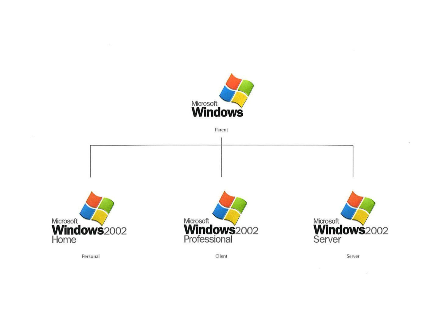 Unused logo designs for Windows XP surface, a look at what could have been