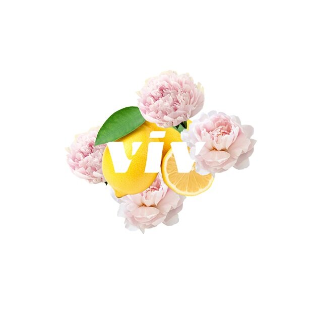 viv+logo+with+flower.jpg