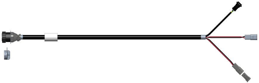 6951.jpg