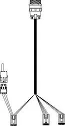 3246.jpg