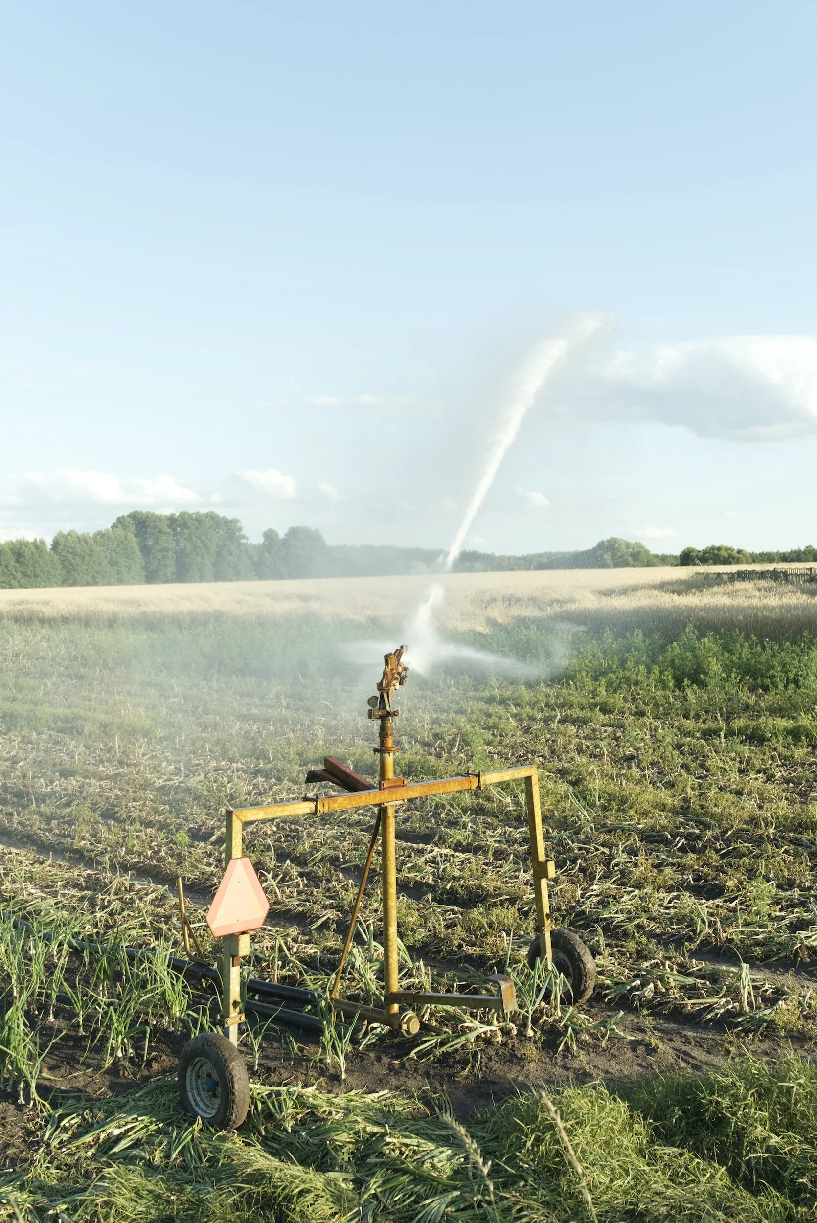 Do I have a leak in my irrigation line?