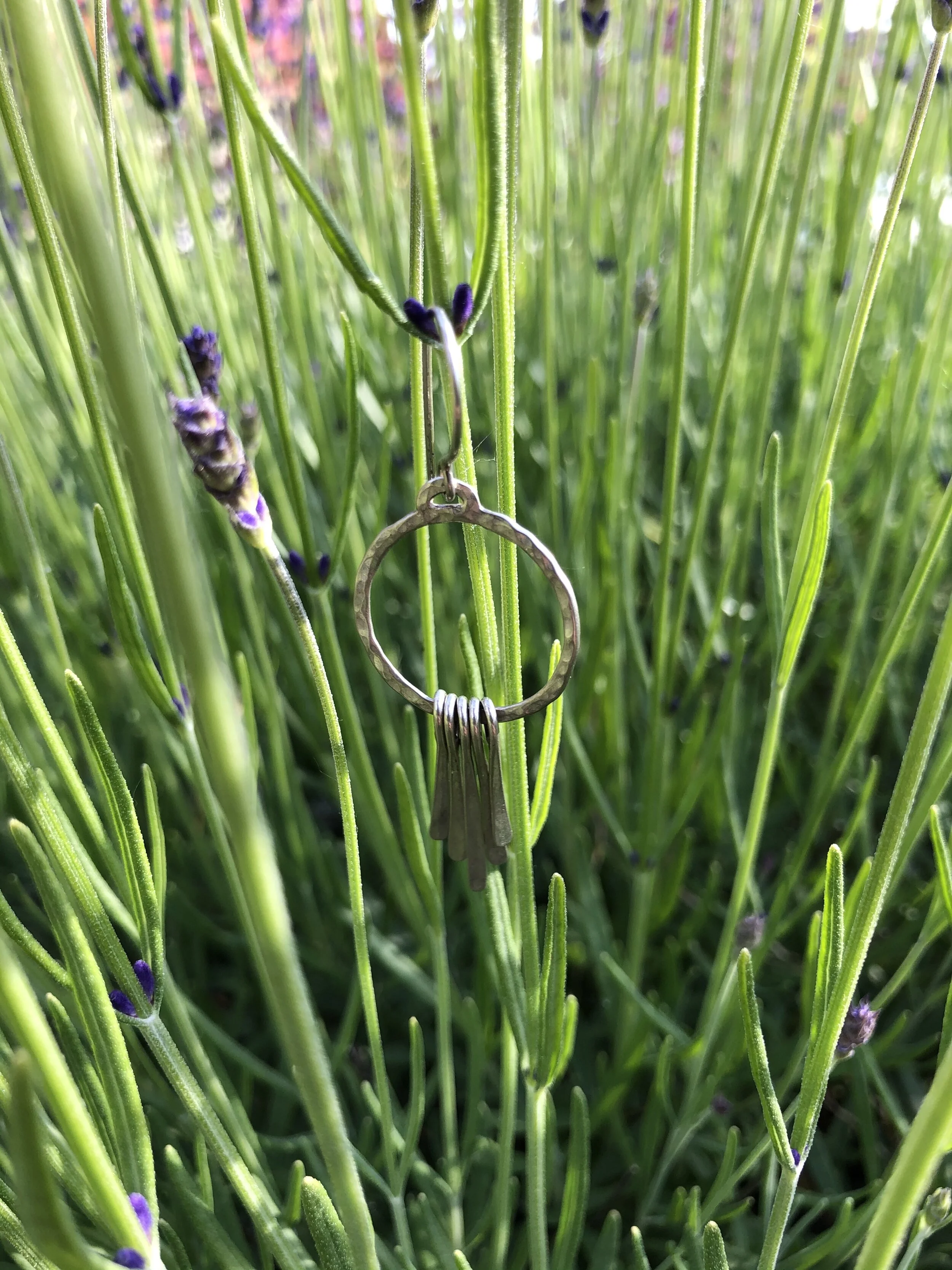 02C72873-D3DA-4B5E-BE13-428ED636A89C