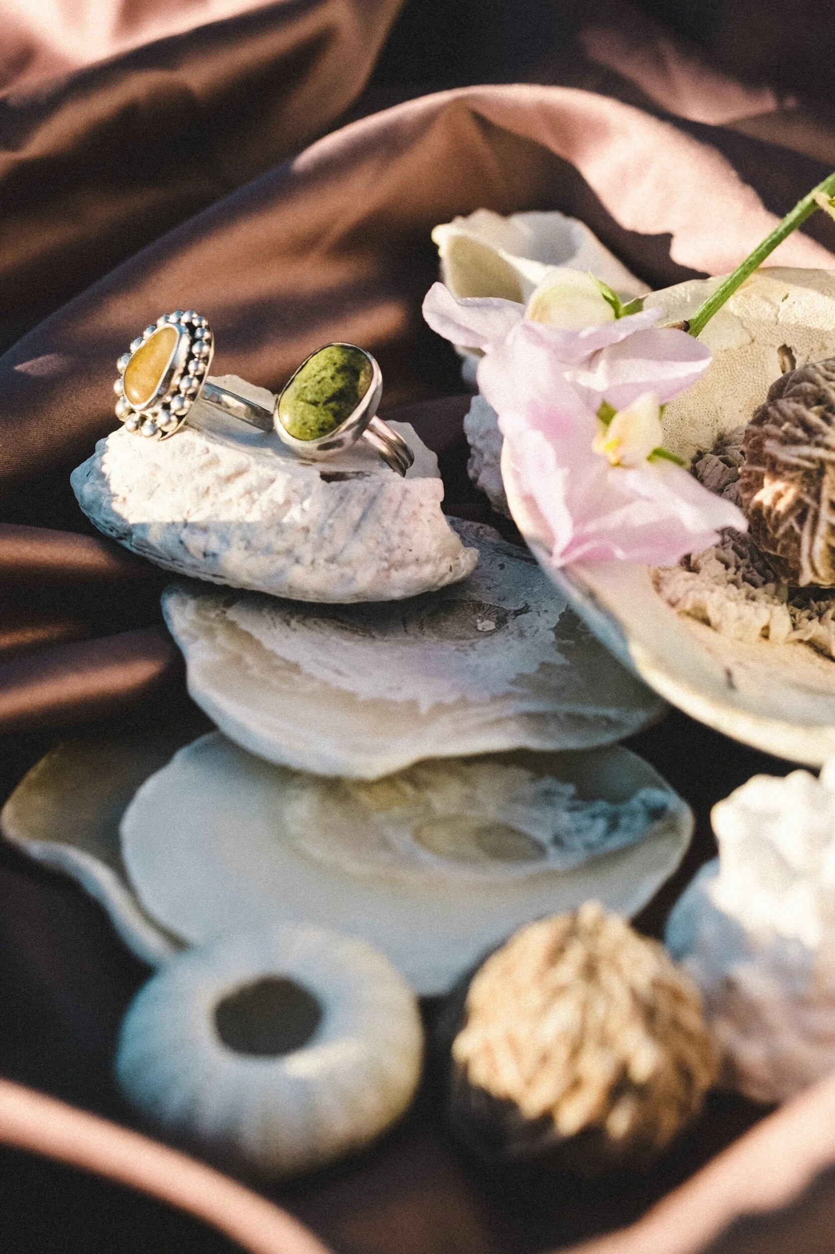 F0C3643C-DC44-450C-A208-97347A518094