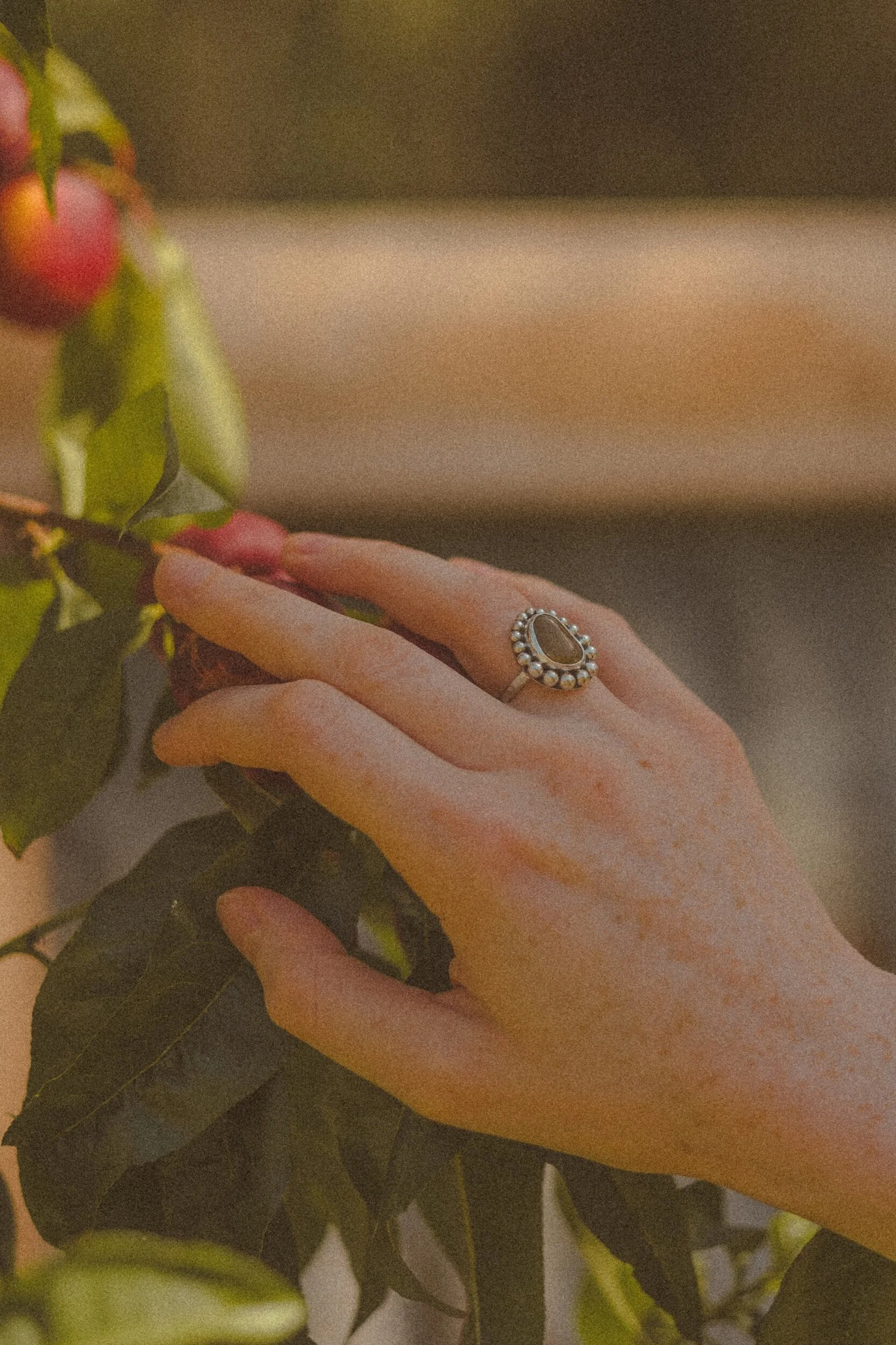 47703CD4-79A0-4D44-89D9-3EDACB79BF54