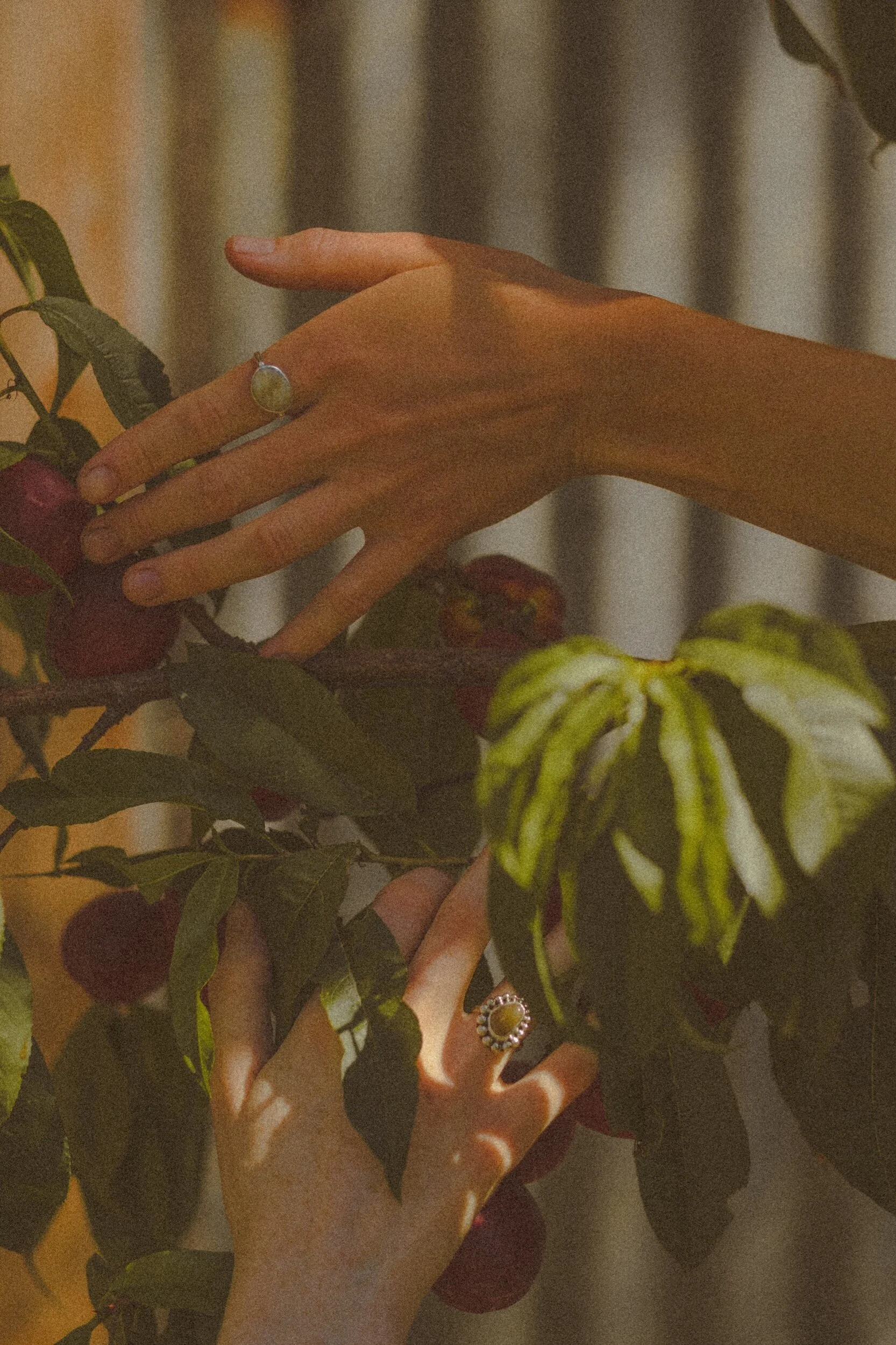 7777C84E-6CC7-4DEC-A1D6-89A37457B2BA