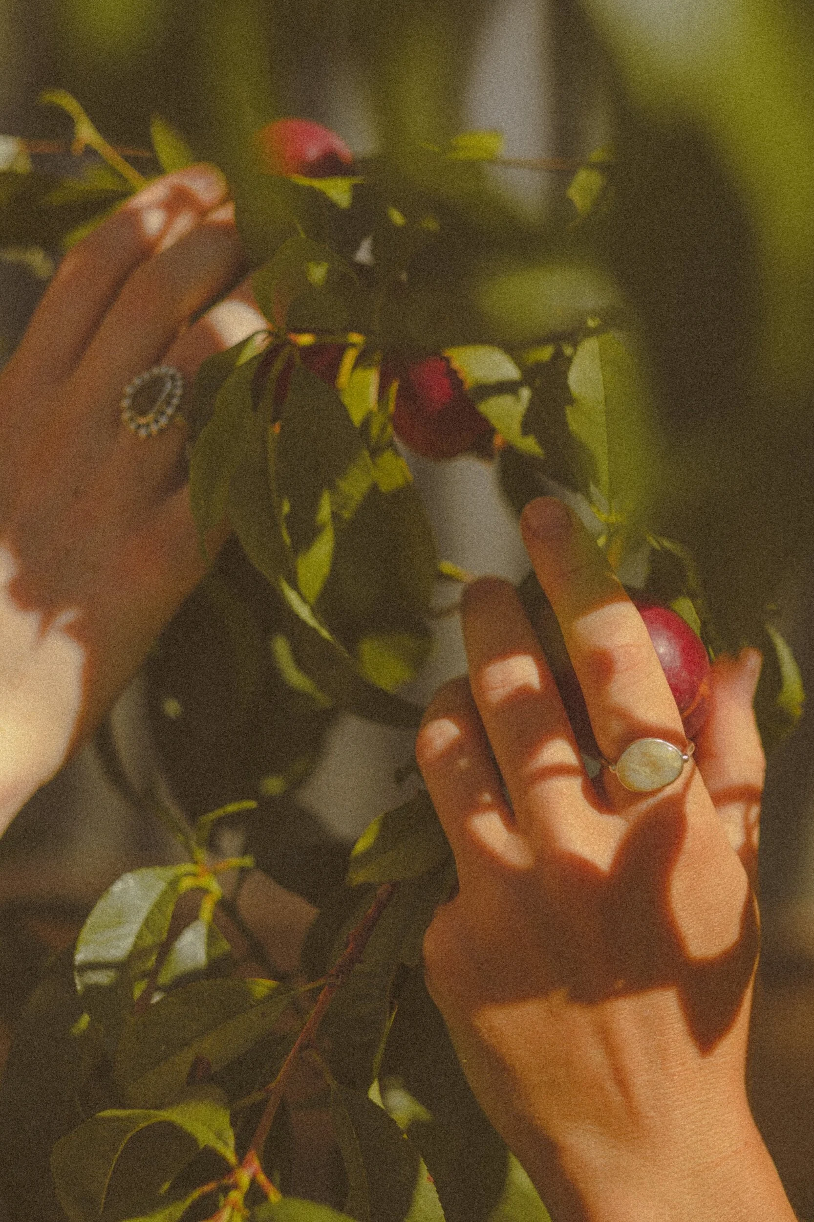 B1FCC8F1-B204-4AAC-BB4C-3FFF098E4DDA