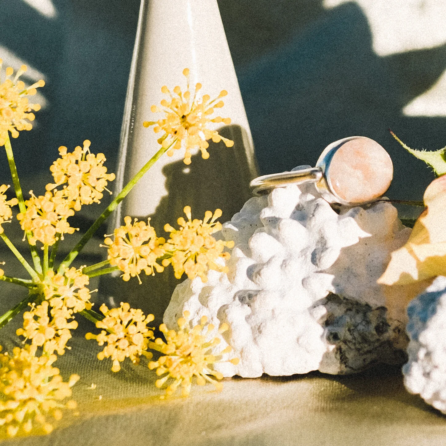 84369744-177C-43F6-B7D2-B695B6EAF5BC