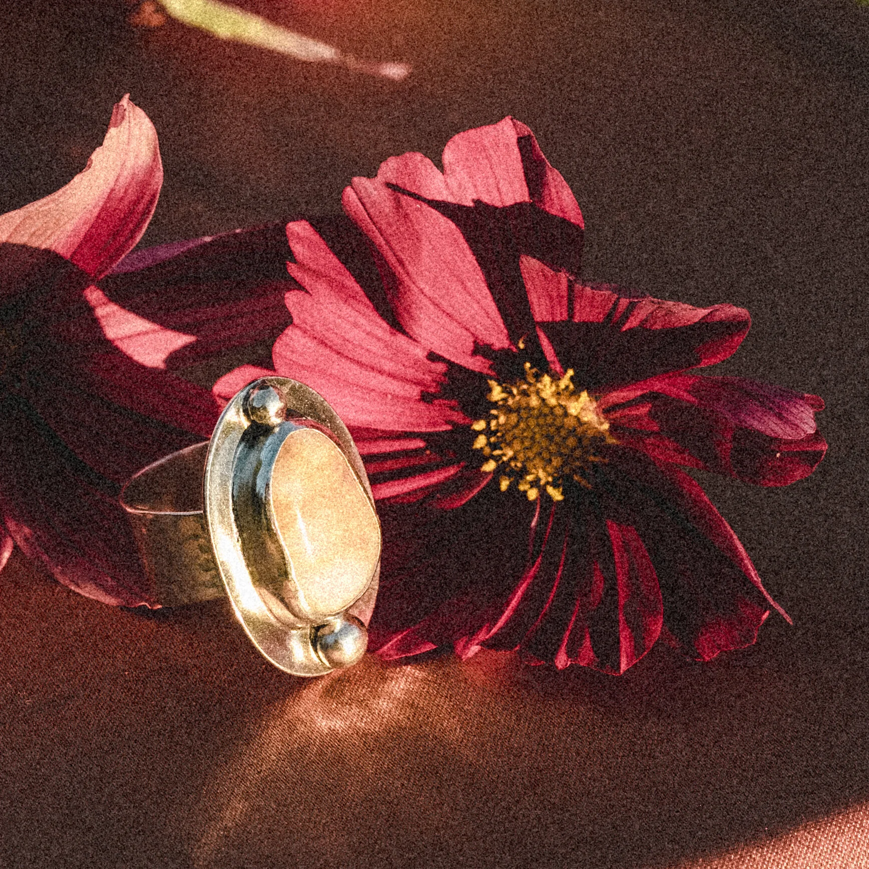 3A12659B-F9ED-4577-BD3C-9665544B96F5