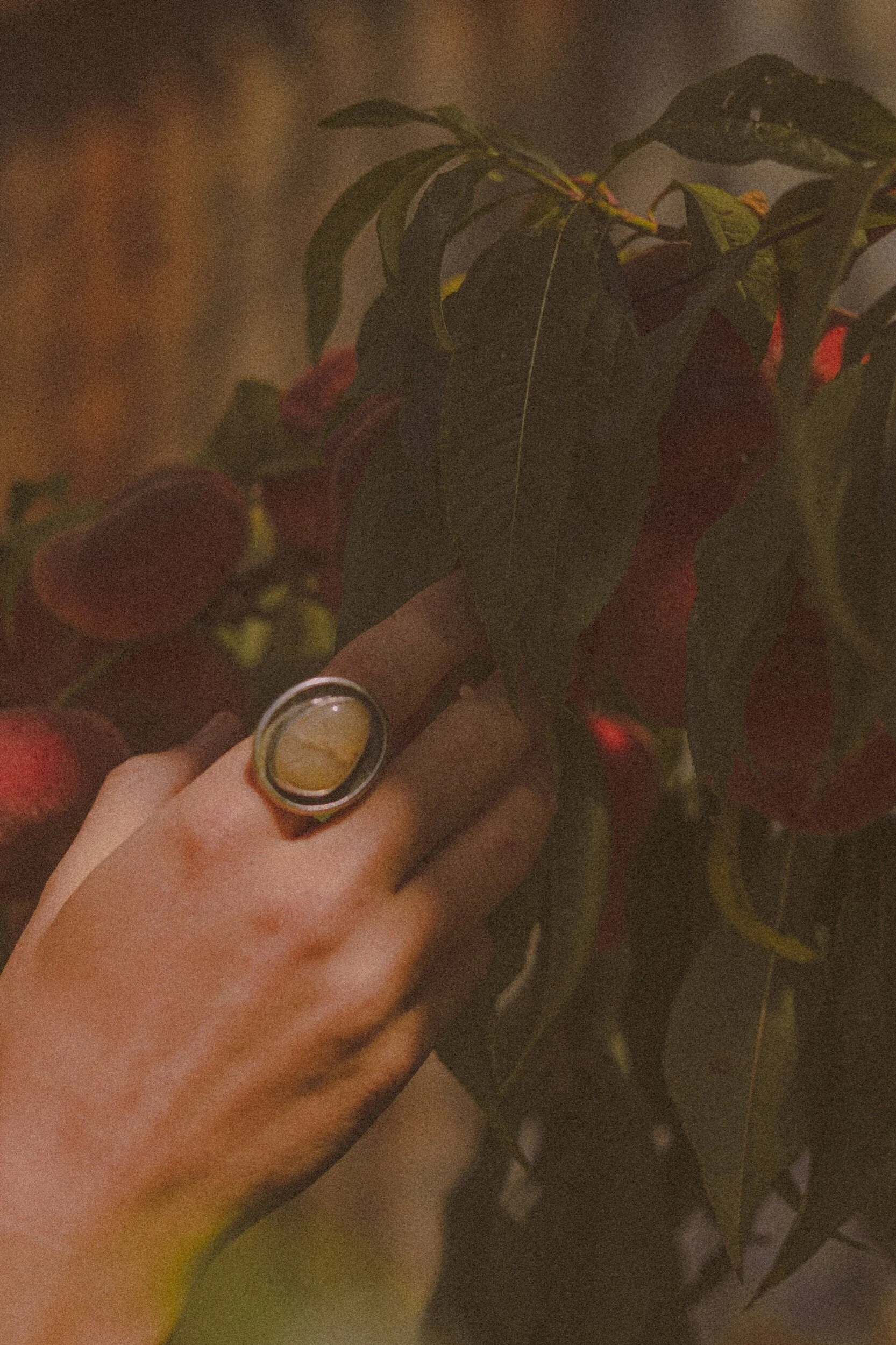 262F997F-F598-41DD-AEBF-DAC66B996917