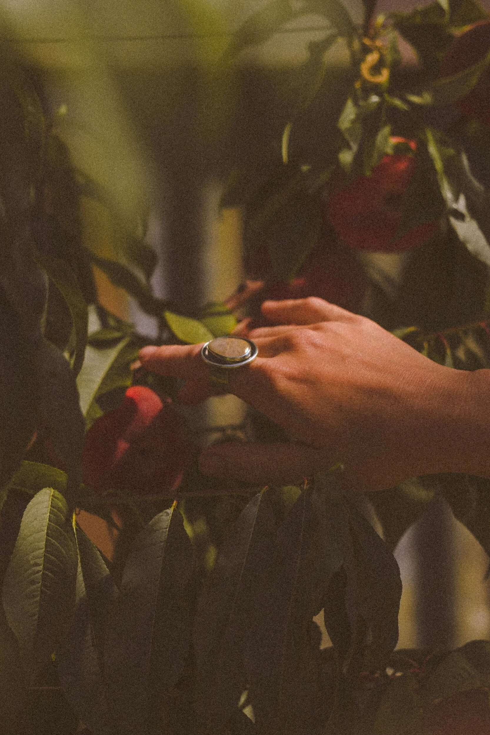 63F393E4-FC2A-4FCA-8714-DD93CEE35322