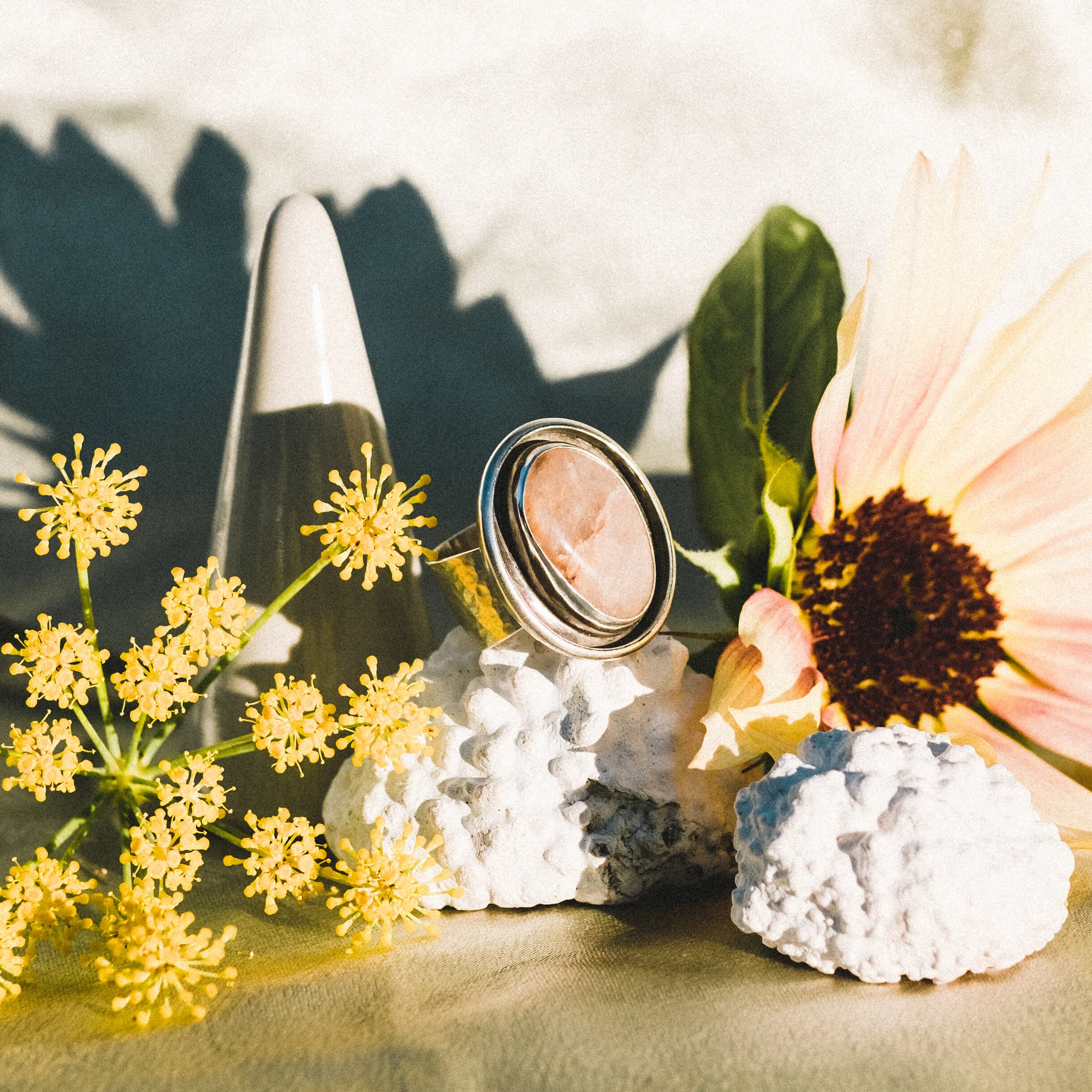 2BFF05C2-5345-426B-A1E3-5E0E9D55FEA7