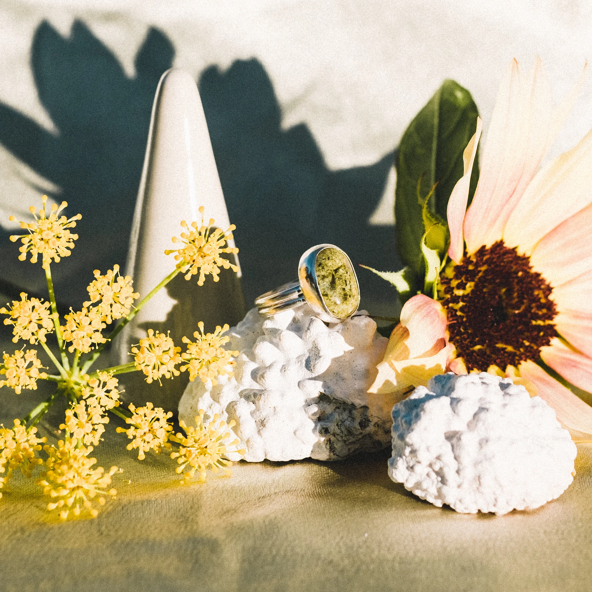 9359E8FC-D2A3-4336-BD7D-2DC3B53B9798