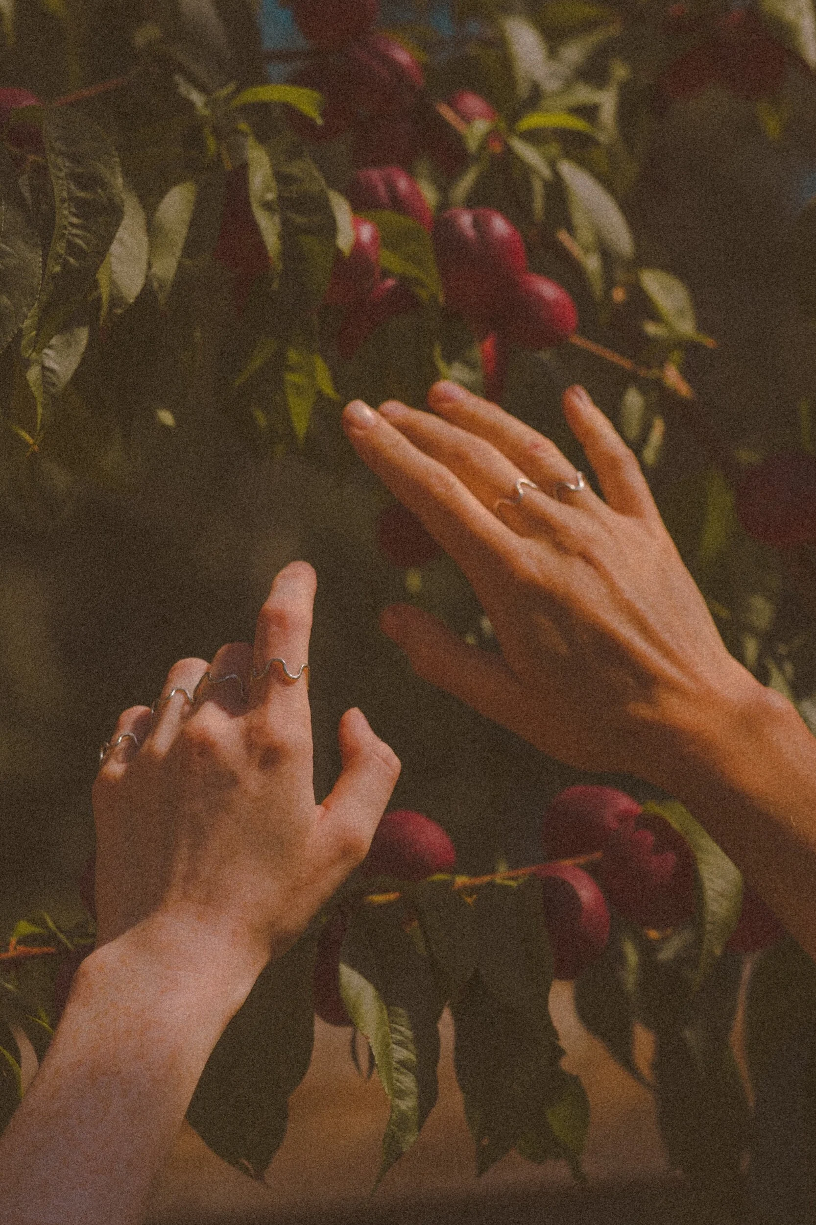 4B25710A-FE7A-4EDD-9D6C-36490EA88509