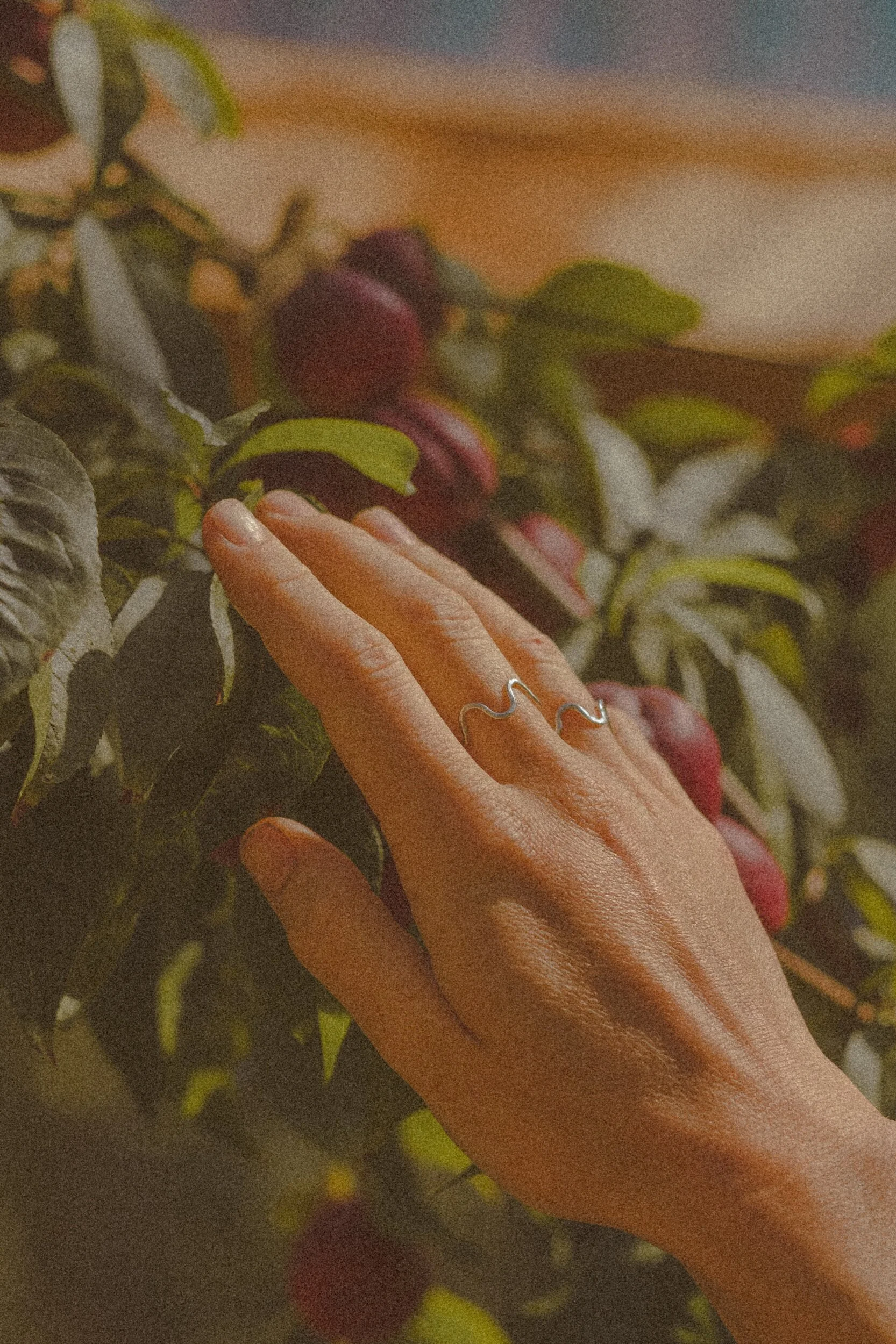 E182FE7A-4CA2-4EEA-B863-54D007330CDA