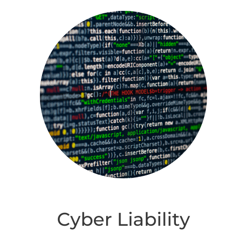 Cyber Liability LiDAR Insurance.png