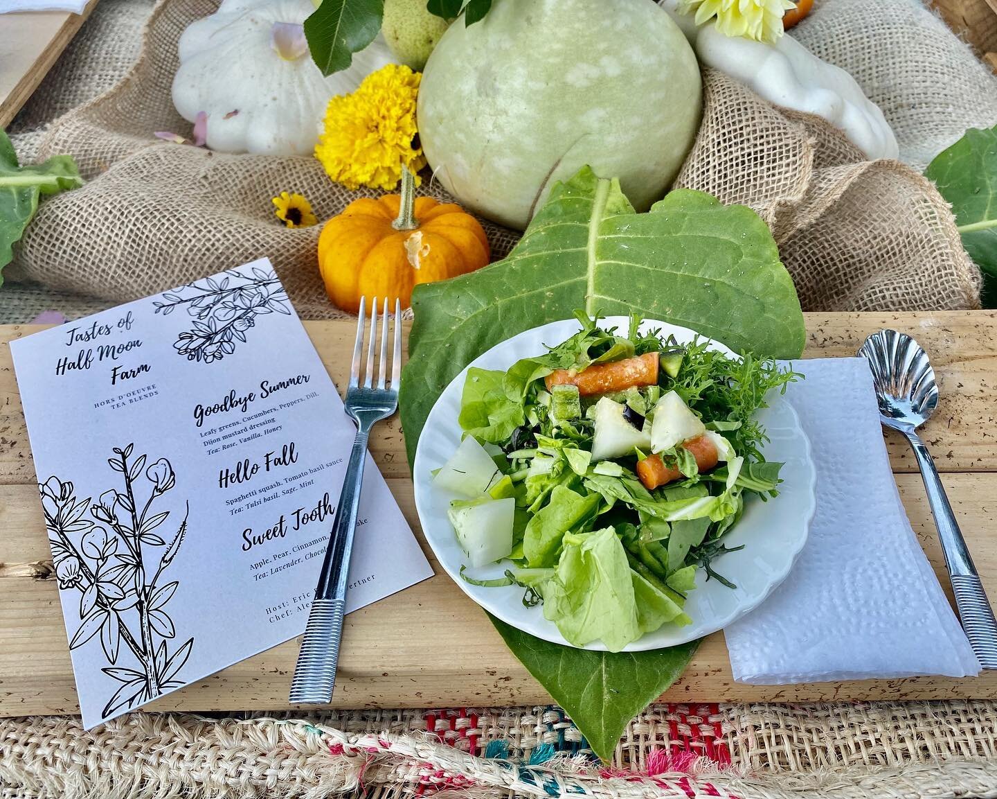 last night was a dream to spend the first day of fall with so many incredible souls at a place that is filled with so much love. ⁣⁣
⁣⁣
farm to table dinner, 100 feet from where the guests were sitting, beautiful vegetables and herbs grew. what a bles