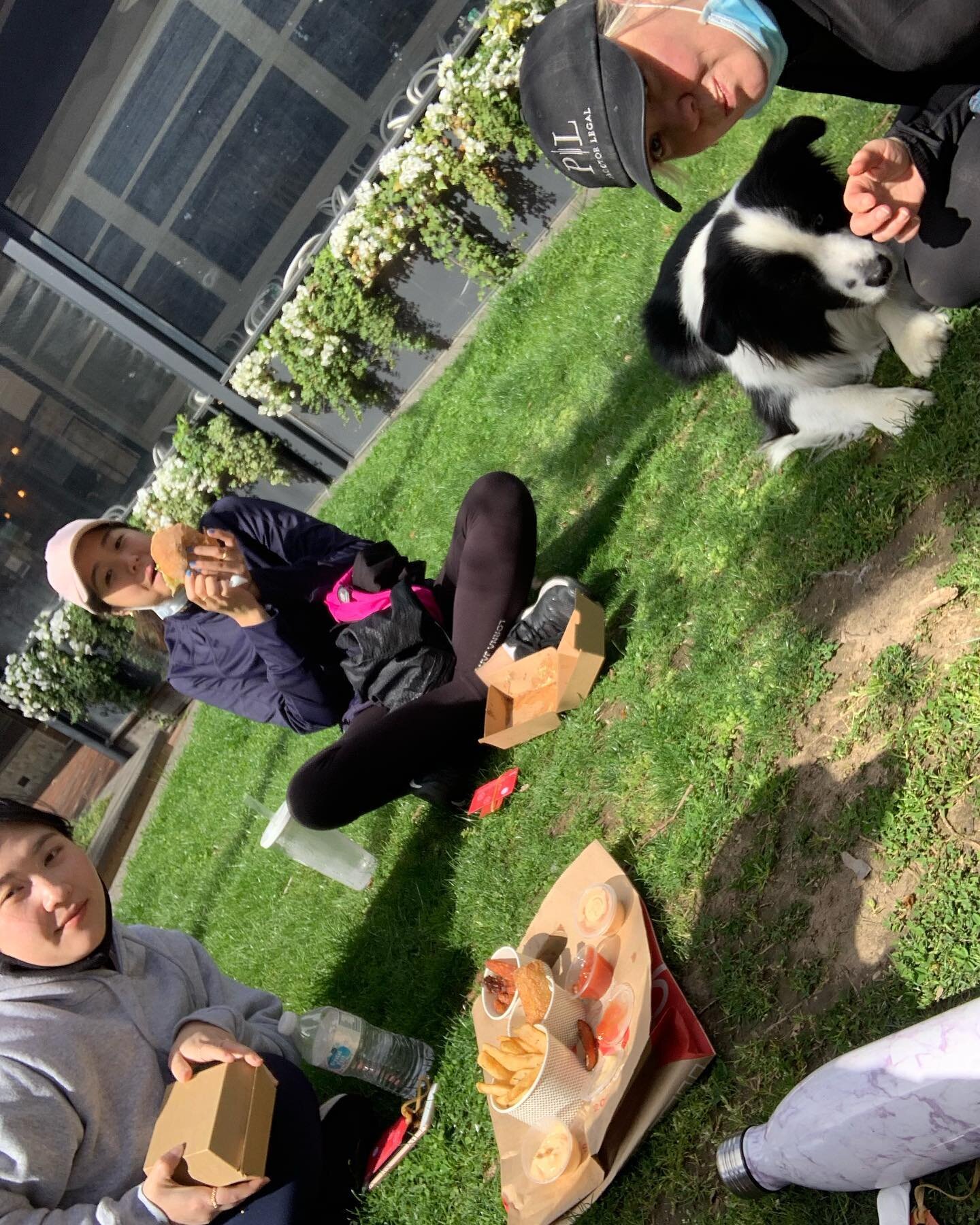 Making the most of lockdown with a post workout picnic🏋️🏃&zwj;♀️🧺🥗🍔 #stayingconnectedinlockdown 
#newoffice #oscarthinksitsgreat 🐾