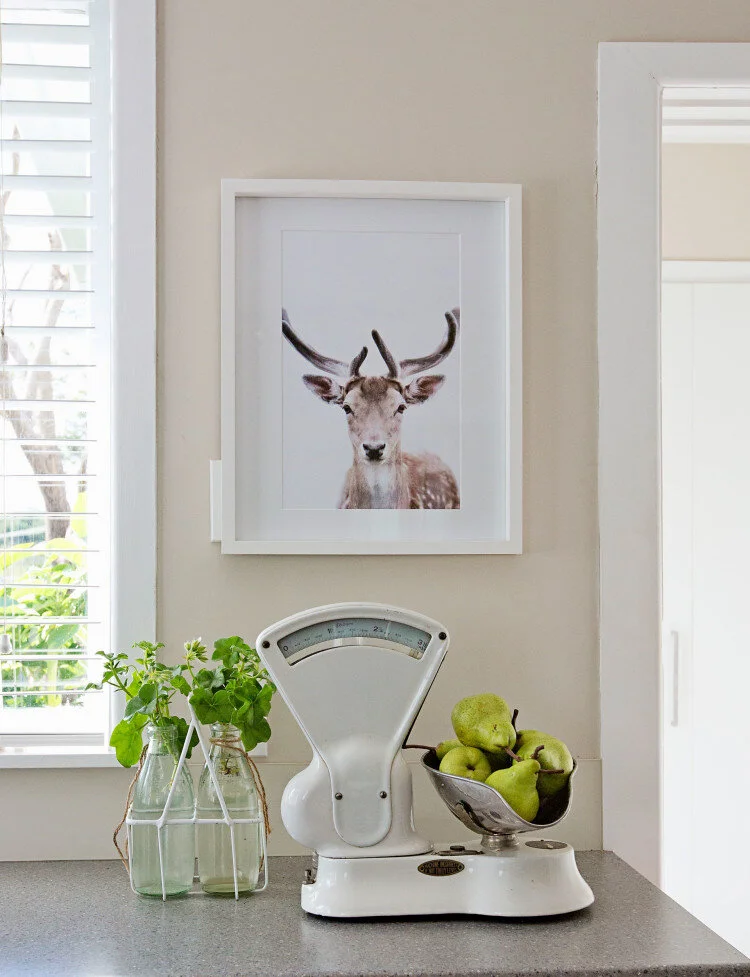 1960s-reno-vintage-kitchen-scales-750x977.jpg