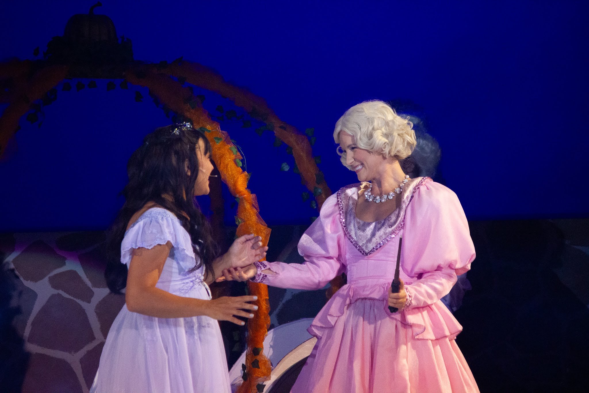 Cinderella & Fairy Godmother 2.jpg