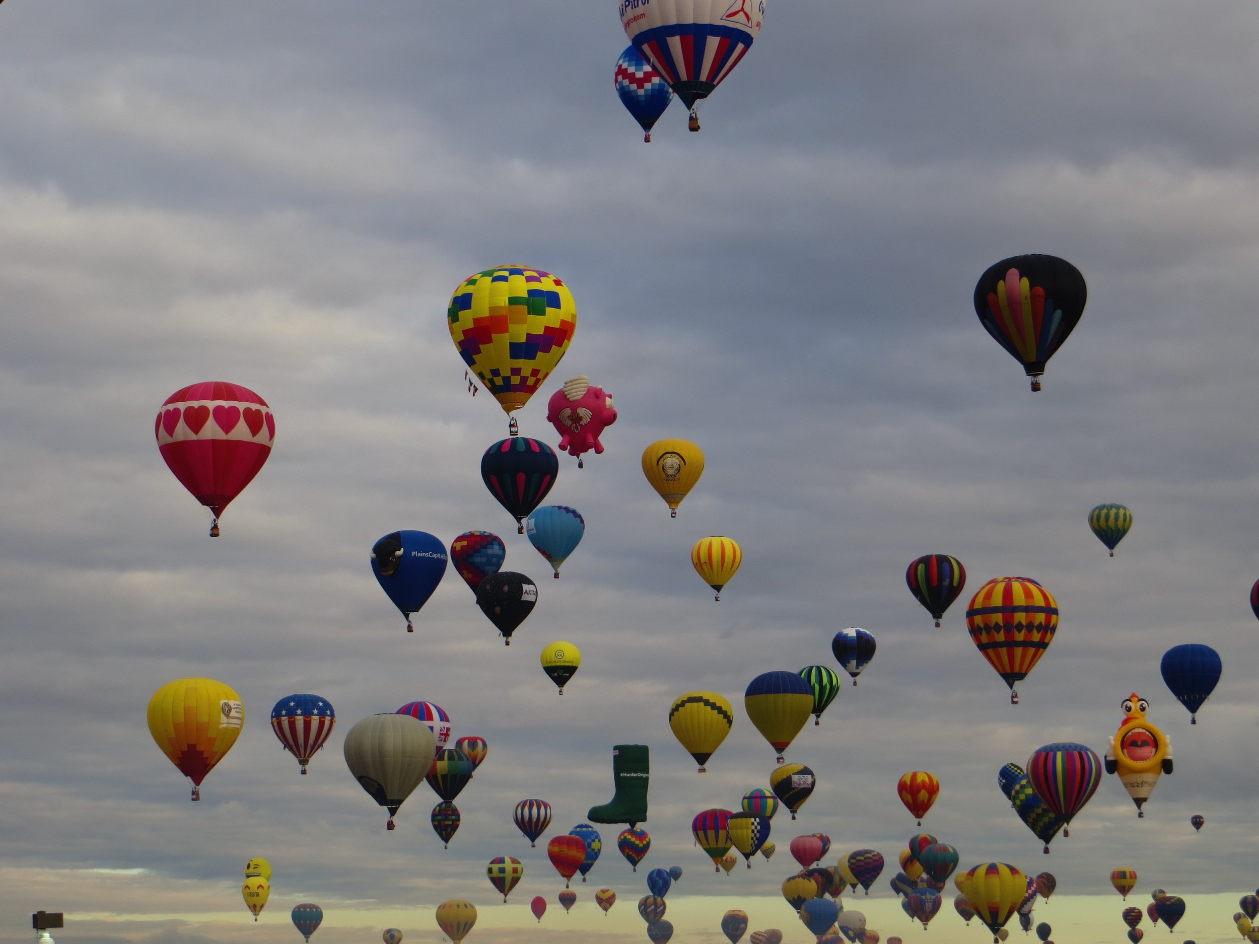 Your Volunteer Service is Priceless!