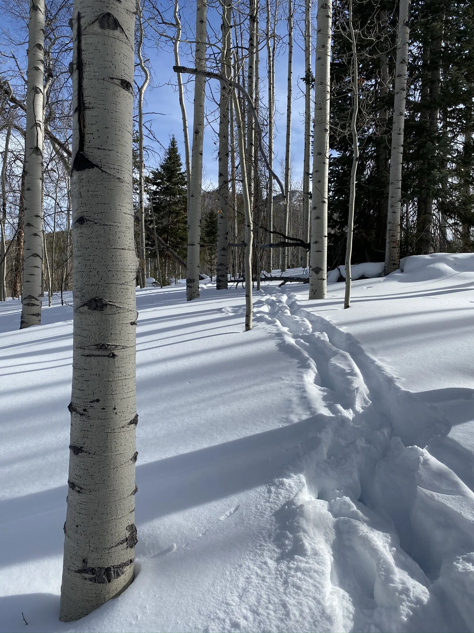 Working on Clarity of Purpose Eclipses Other Team Issues