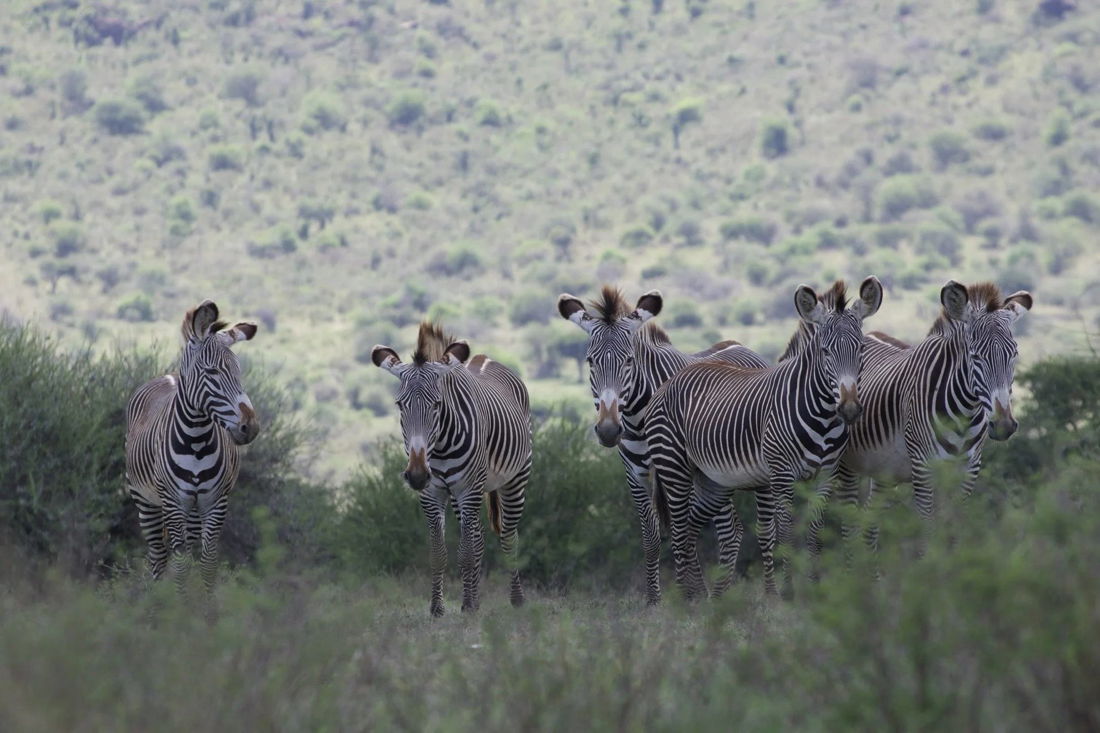 How is the Health of Your Team: Starting Up Without Slowing Down?