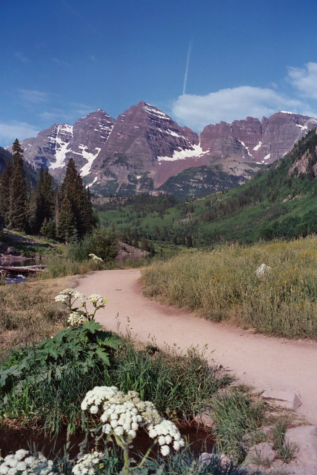 Why So Many Capable People Never Use Their Top Strengths