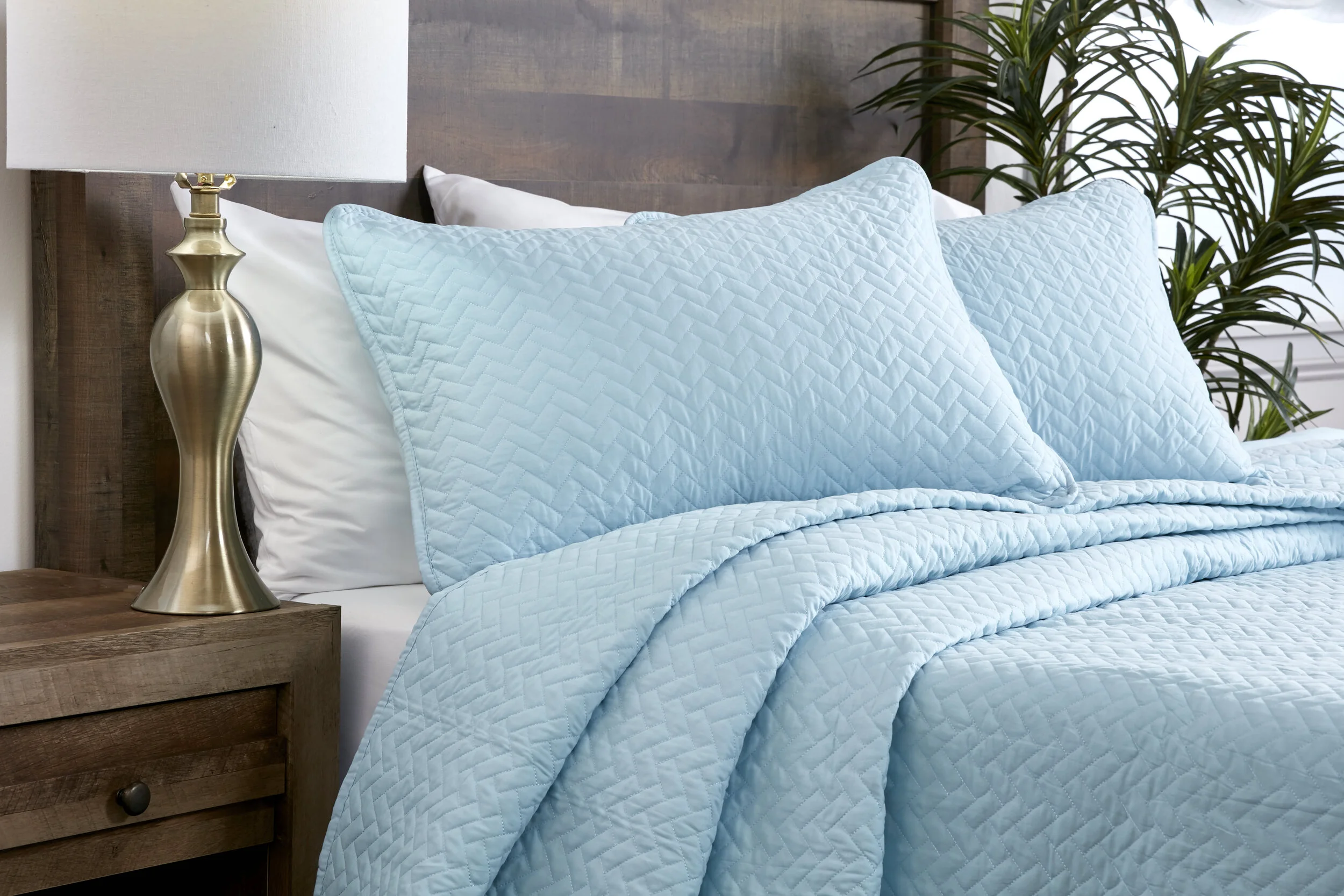 Pillows light blue.jpg