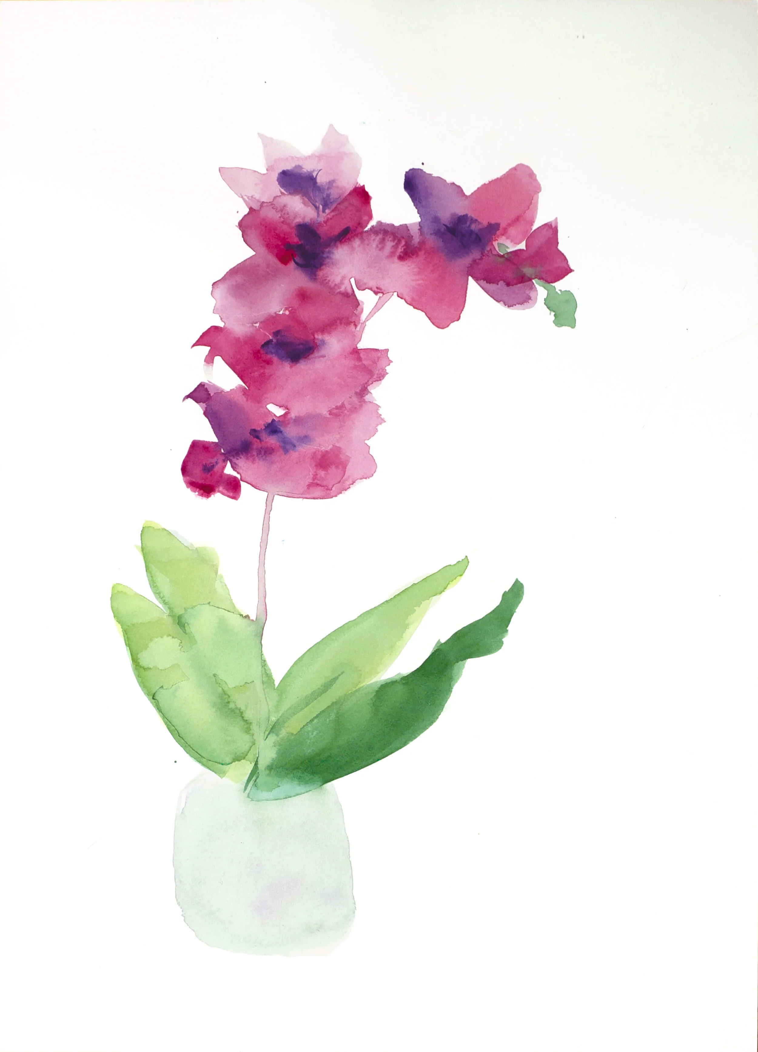 Loose Orchids 1 10x14.jpg