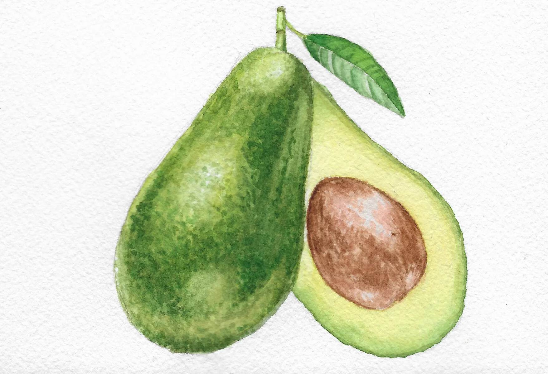 food commission_watercolor_scan 2.jpg