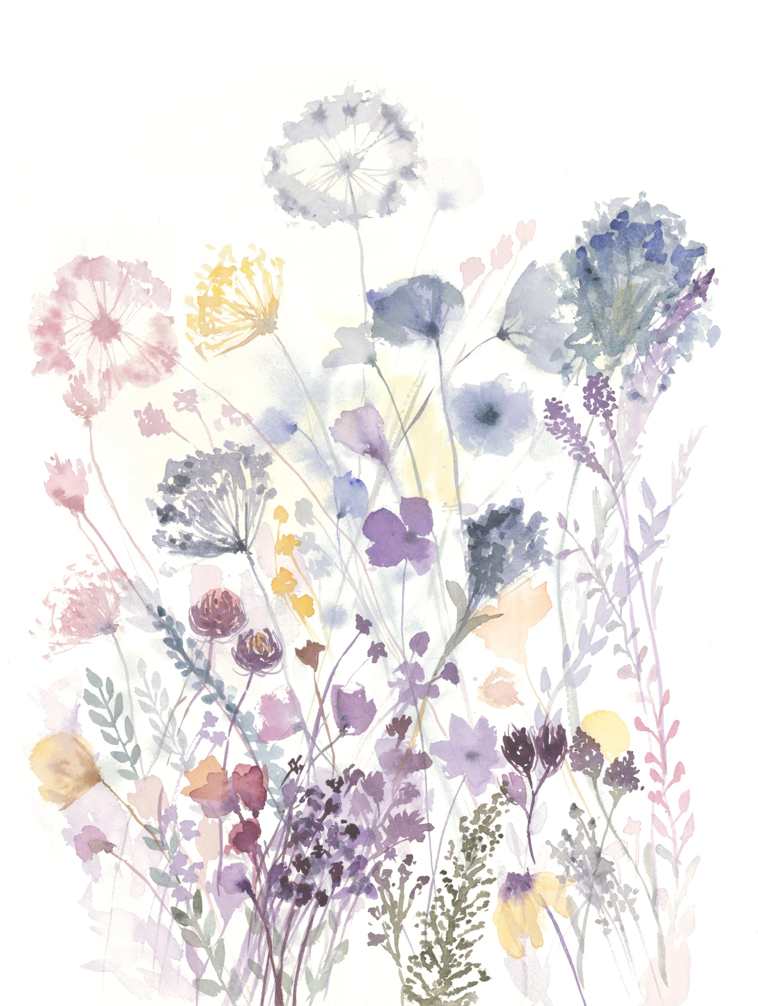 Dalton Scan5-wildflower field _SITE.jpg