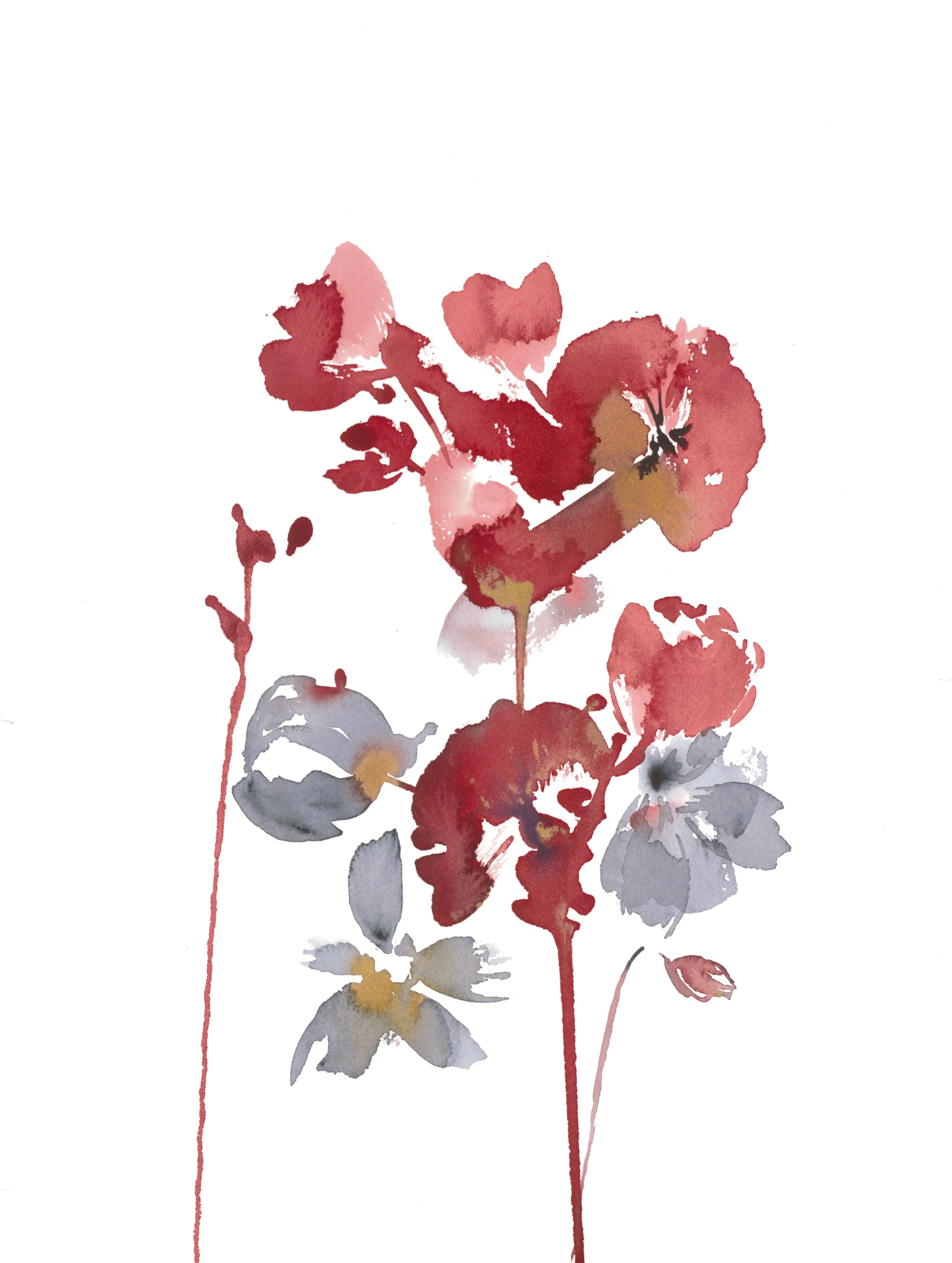 Dalton Scan1-red poppies _SITE.jpg