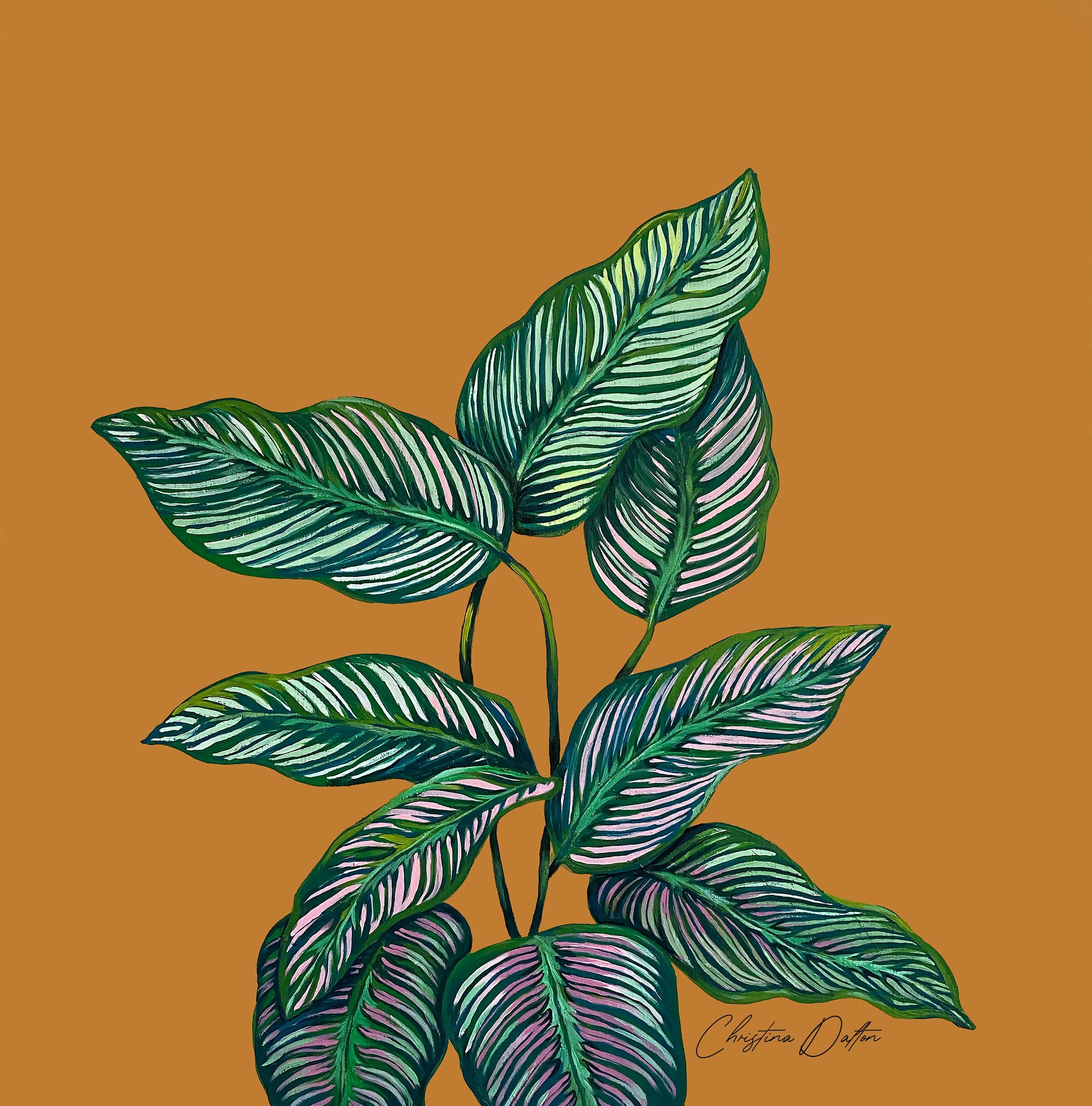 Pinstripe_Calathea_Web.jpg