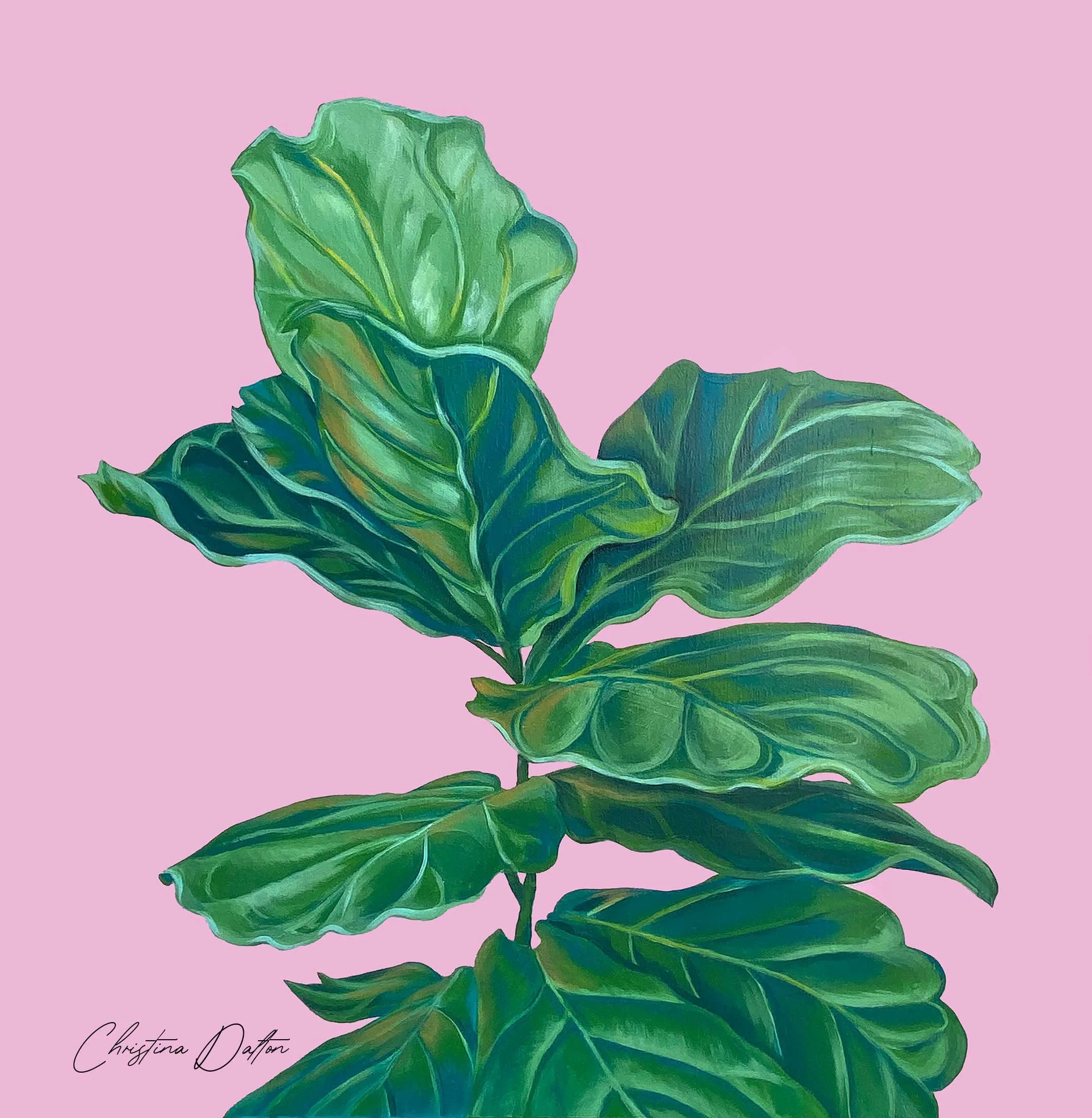 Fig_on_Pink_Web.jpg