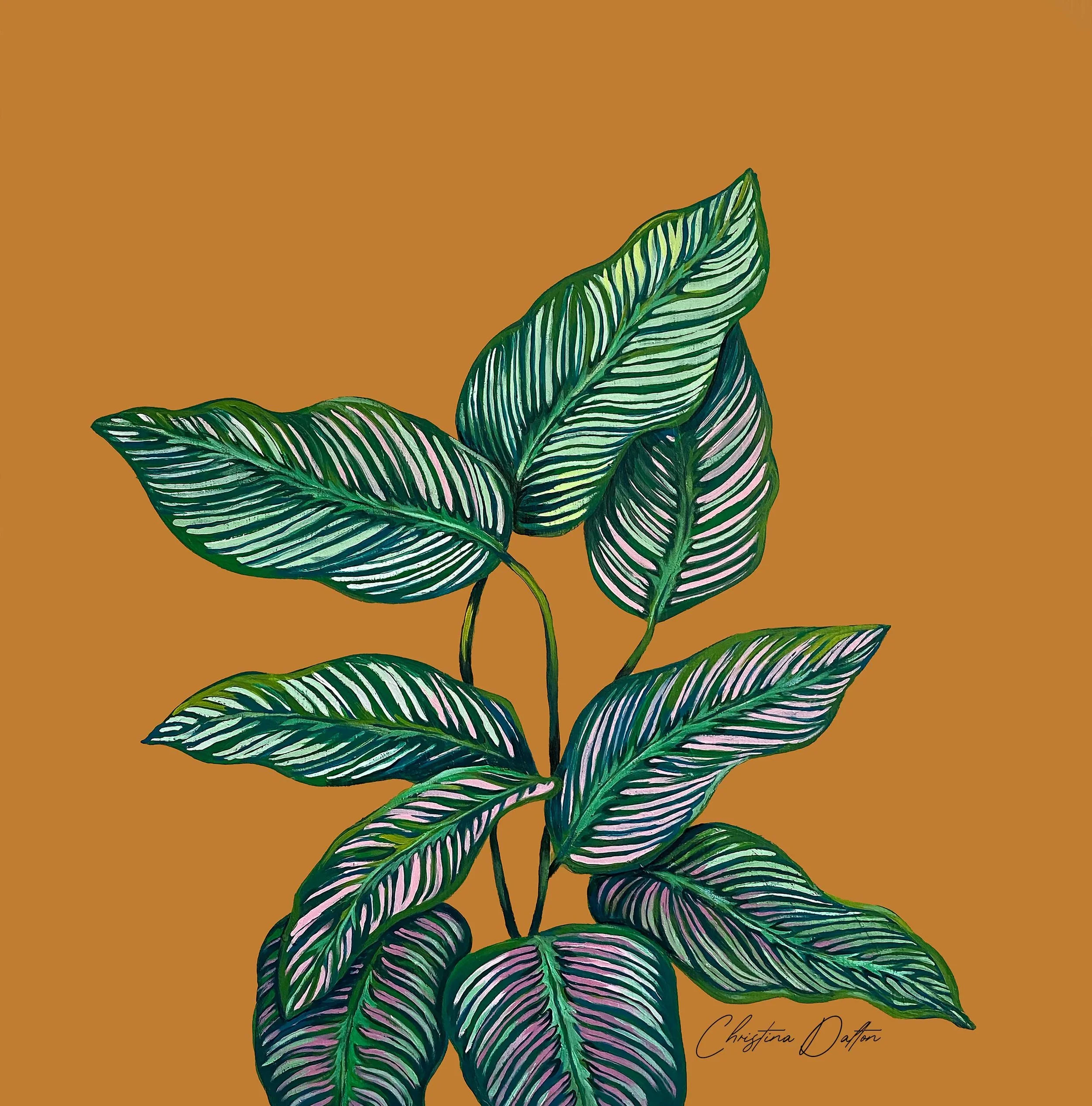 Pinstripe Calathea on Orange - Artist Print